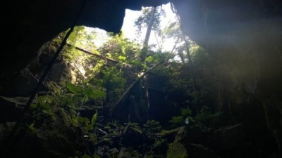 The entrance of the new cave discovered in Phong Nha-Ke Bang National Park. (Photo: thethaovanhoa.vn)