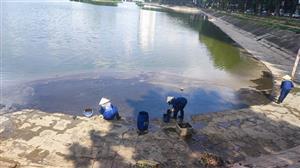 Investigation into Hanoi lake oil spill