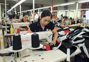 New Vietnamese companies reach record this year