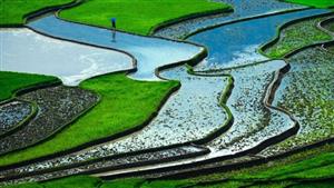 Vietnam's terraced fields among Top 25 surreal landscapes