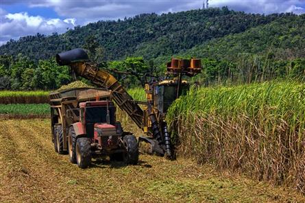 Thai sugar imports sour prospects for domestic producers