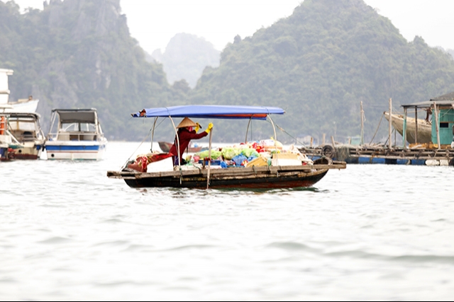 Ha Long Bay has second clean-up day