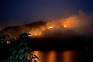 Fire damages over 50 ha of forest in Son La