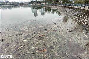 Newly-opened Hanoi park faces pollution after mass fish deaths