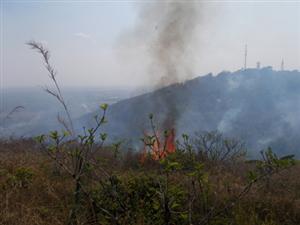Fire destroys 3ha of Ham Rong Mountain forest