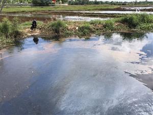 Vietnamese industrial zones discharge 550,000 tonnes of toxic waste annually
