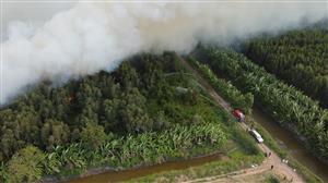 Forest fires spreading in Ca Mau