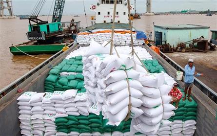 Vietnam’s rice exports may exceed 2024 target
