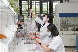 Vietnamese patents average growth rate nears 10% a year in the last decade