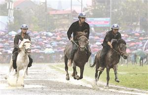 Horse festival in Lao Cai to celebrate northern highlands culture, sports