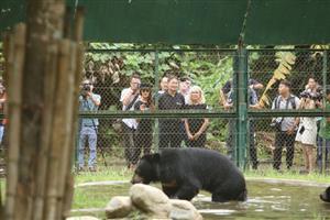 Second bear rescue centre to be built in Vietnam