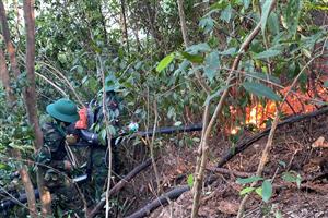 Nearly 500 people join Nghe An forest fire fighting