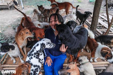 HCM City woman saves hundreds of dogs from slaughterhouses