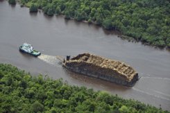 A tugboat pulls a barge loaded with logs on Sumatran river on October 16, 2010. Green activists say more than 80 percent of people live in countries that devour more resources thabn their ecosystems can renew.