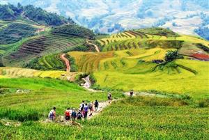 Vietnam among TripAdvisor's Top 10 adventurous destinations