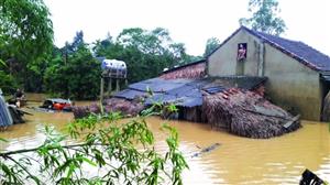 Vietnam deems climate change adaptation mandatory for survival: official