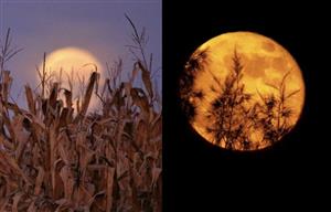 Harvest Supermoon to be observed in Vietnam