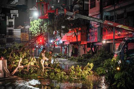 Yagi weakens into tropical depression, leaves eight dead in northern Vietnam