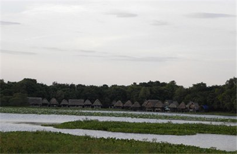 Primitive beauty in Tra Loc Lagoon 
