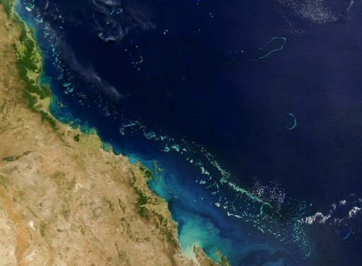 Australia plans world's largest marine reserve