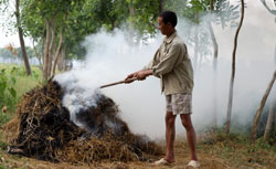 Stubble burning a threat to human health