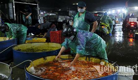 Hanoi's biggest fish market busy ahead of the Kitchen Gods' Day