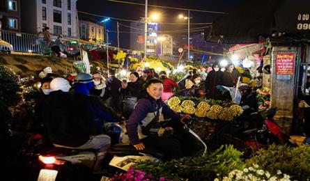 Quang An flower market bustles as Tet nears