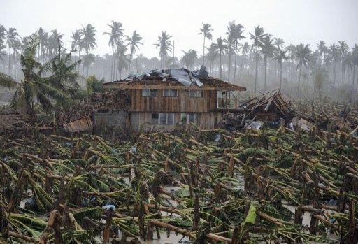 Typhoon reduces Philippine farmers to beggars
