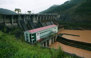 Hydro-plant threat to forests