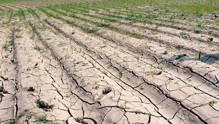 Severe drought hits central and southern regions