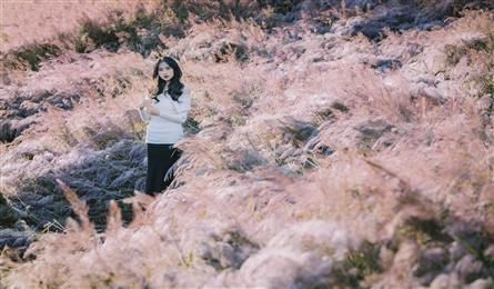 Da Lat’s stunning pink grass hills attract visitors
