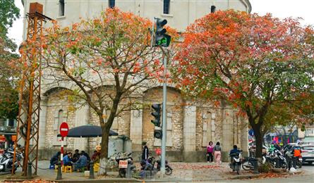 Hanoi in the changing season
