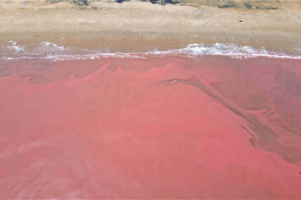 Reddish sea water seen in Ha Tinh