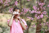 Da Lat surprised by unseasonable cherry blossoms
