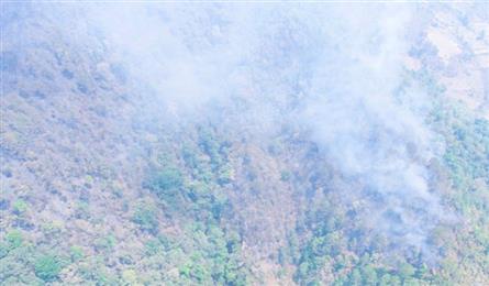 Over 600 help curb Dien Bien forest fire