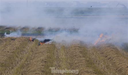 Straw burning plagues drivers on national highway
