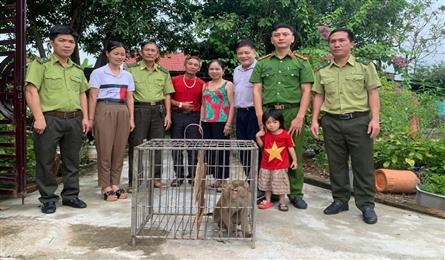 Four rare monkeys handed over to Ha Tinh national park