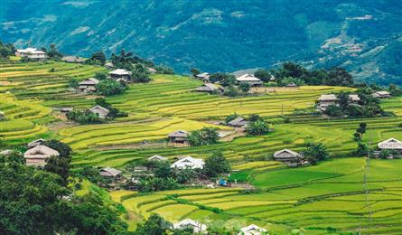 Beauty of Ha Giang terraced fields