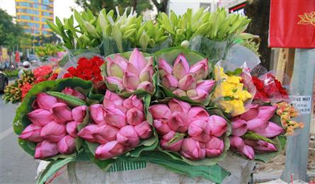 Lotus flower season arrives on Hanoi streets