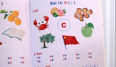 Former official condemns children’s book for containing Chinese flag
