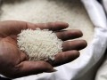 Vietnam slashes floor price for export rice