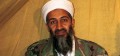 Hollywood mulls film version of bin Laden killing
