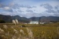 Some land in Japan too radioactive to farm: study