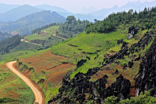 Rock forest in Northern Vietnam