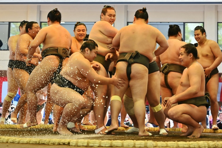 Kết quả hình ảnh cho sumo