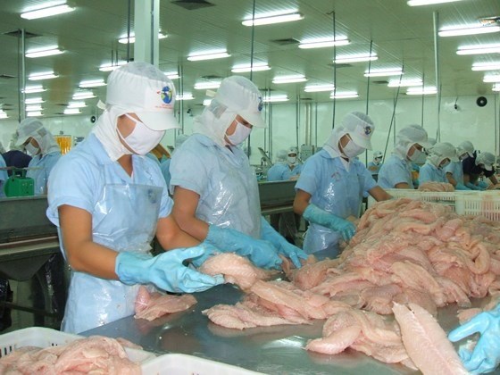 Catfish exports to reach USD2.3bn | DTiNews - Dan Tri International ...